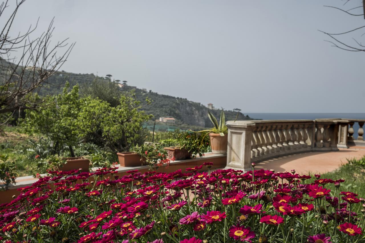 Faraglioni Di Sorrento Guesthouse ภายนอก รูปภาพ